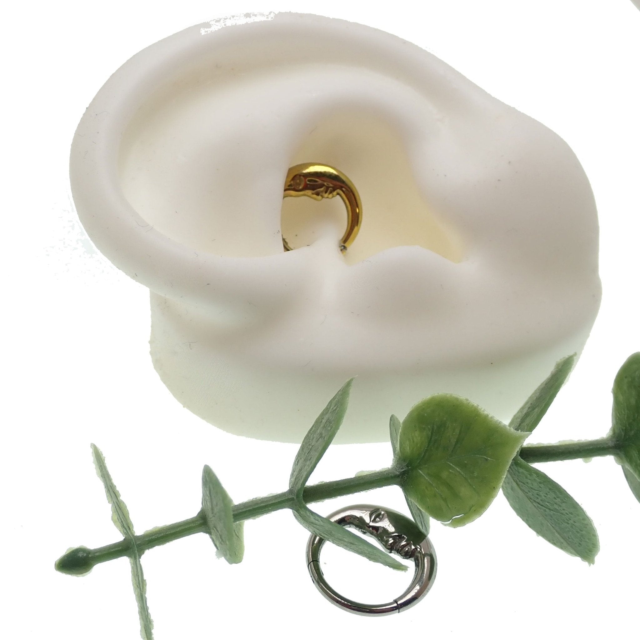 Titanium Clicker 16g 8mm 10mm daith septum - Body Clickers Body Jewelry