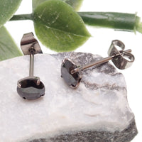 Titanium Earrings Black Crystal