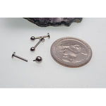 16g titanium plain ball labtert flat back stud - pure piercings