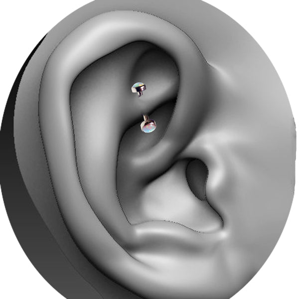 Rook