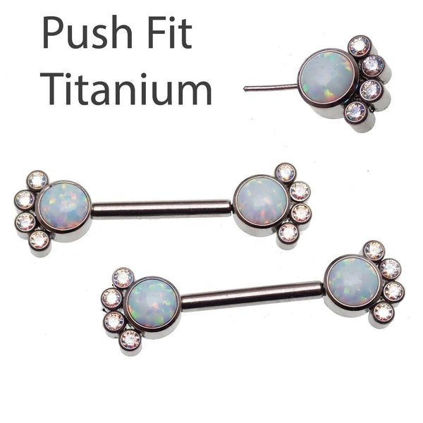 Push Fit / Threadless - Body Clickers Body Jewelry