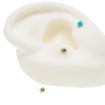 14k Sun top / Titanium Flatback Pish fit Piercing