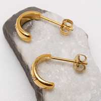 Implant grade Titanium PVD Gold CZ Half Hoop Earrings- 20g Pair