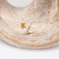 PVD Vine with CZ stones Titanium Flatback/ Labret Piercing 18g, 16g, 14g