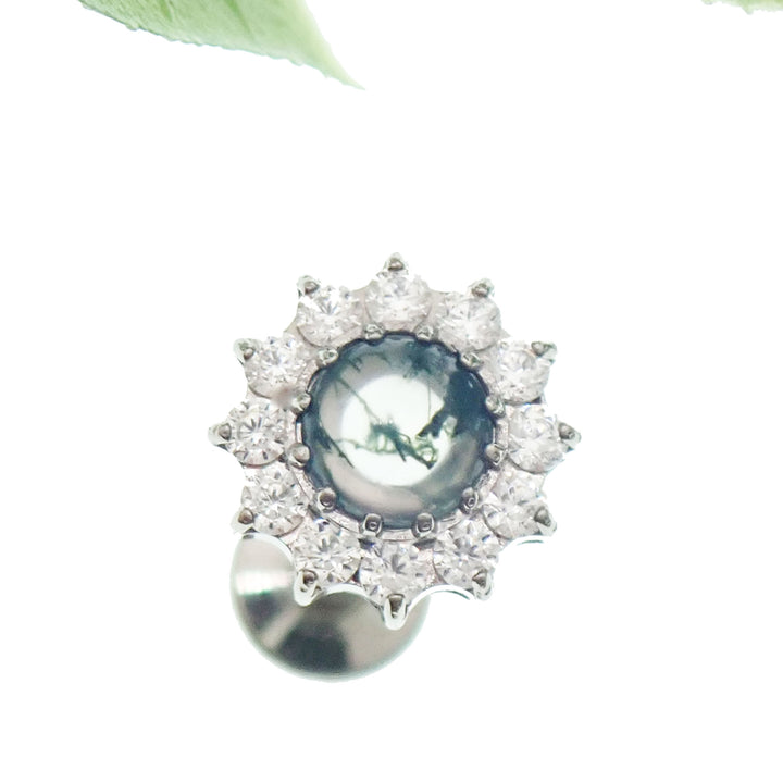 Tragus – Body Clickers Body Jewelry