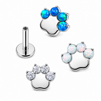 TITANIUM paw PIERCING