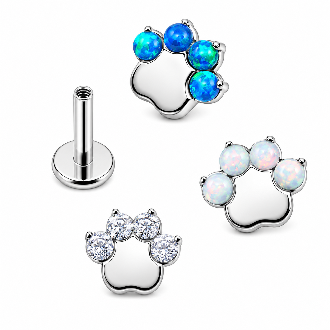TITANIUM paw PIERCING