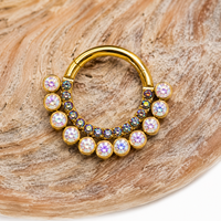 Double Row Rainbow CZ & AB's Clicker 16g
