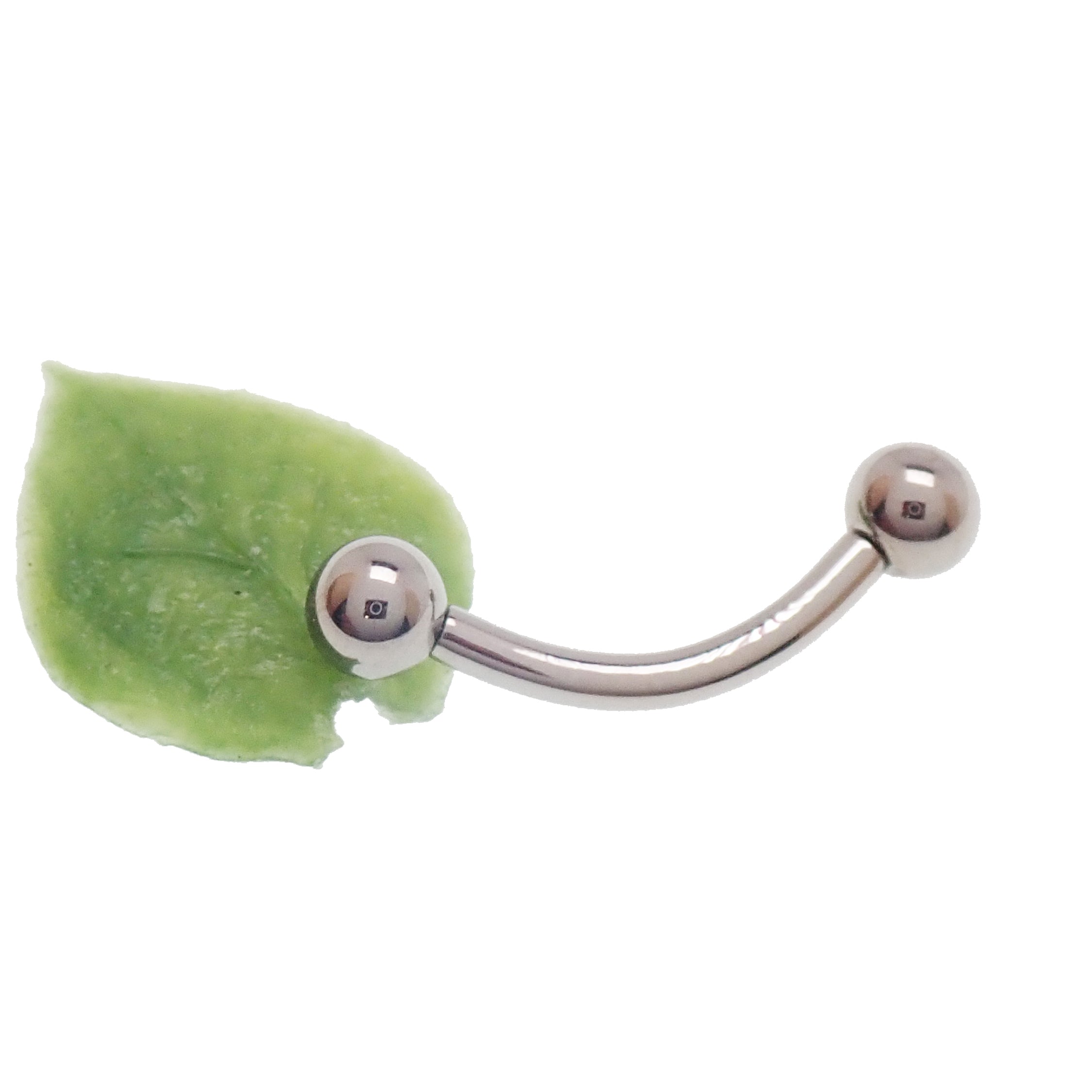 Body Clickers titanium push fit curved barbell with decorative leaf design, available in 14g, 16g, and 18g body jewelry sizes.
