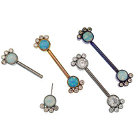 Titanium paw-shaped nipple piercing with push-fit design, 14g body jewelry by Body Clickers, hypoallergenic and stylish.