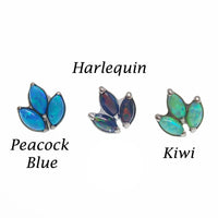 Body Clickers titanium implant opal push fit flatbacks in peacock blue, 14g to 20g sizes, shown in a set of four.