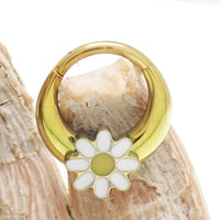 Gold Daisy Implant Titanium Septum Piercing clicker by Body Clickers, 16g, 8mm with anodized daisy design.