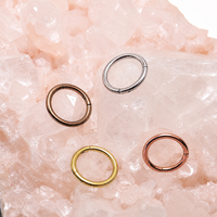 Plain Hinged Titanium Clicker Segment Ring 14g, 16g, 18g, 20g