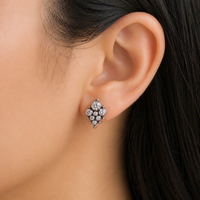 Pair of HALOBES titanium CZ earrings in 20g implant style, featuring shiny cubic zirconia stones on sleek earring designs.