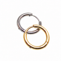 Sterilized Titanium Earrings • Implant-Grade Chunky Hoop Earrings