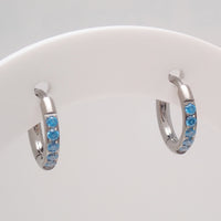 Titanium Hoop earrings with blue CZ on a white display