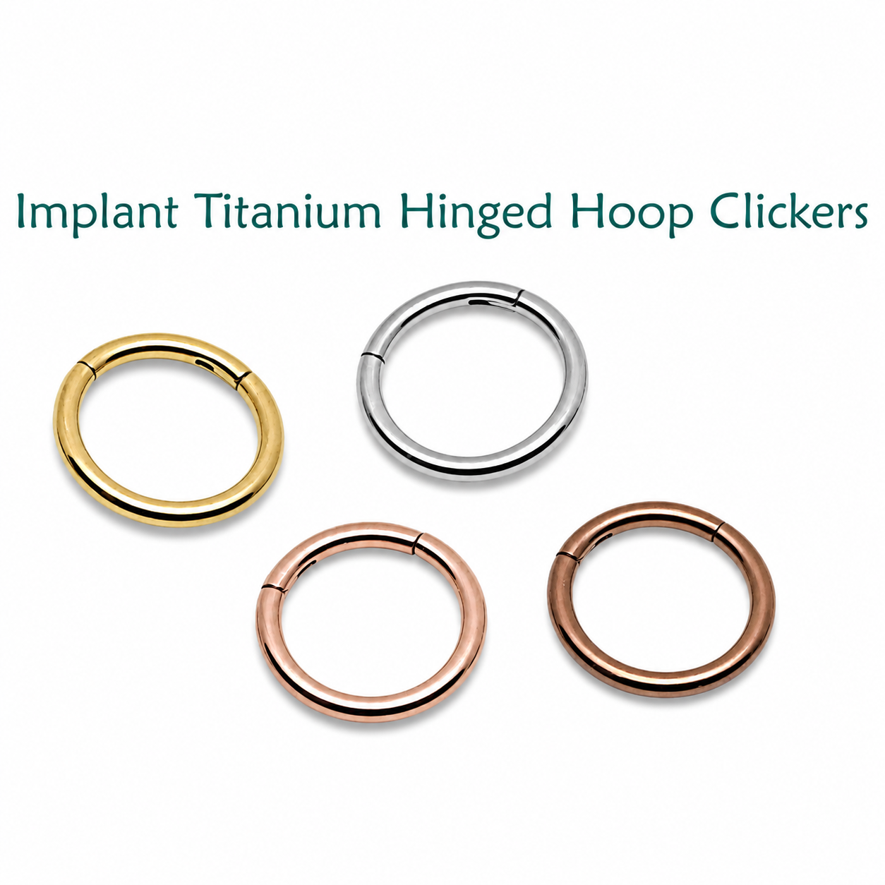 Plain Hinged Titanium Clicker Segment Ring 14g, 16g, 18g, 20g