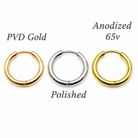Implant Titanium Hoop Earrings- 20g, 8mm or 10mm- Sold in Pairs
