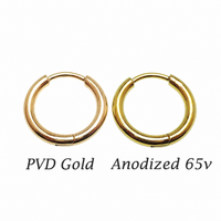 Implant Titanium Hoop Earrings- 20g, 8mm or 10mm- Sold in Pairs