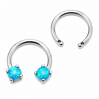 Circular Titanium Horseshoe with 16g Top Holes- Horseshoe Only