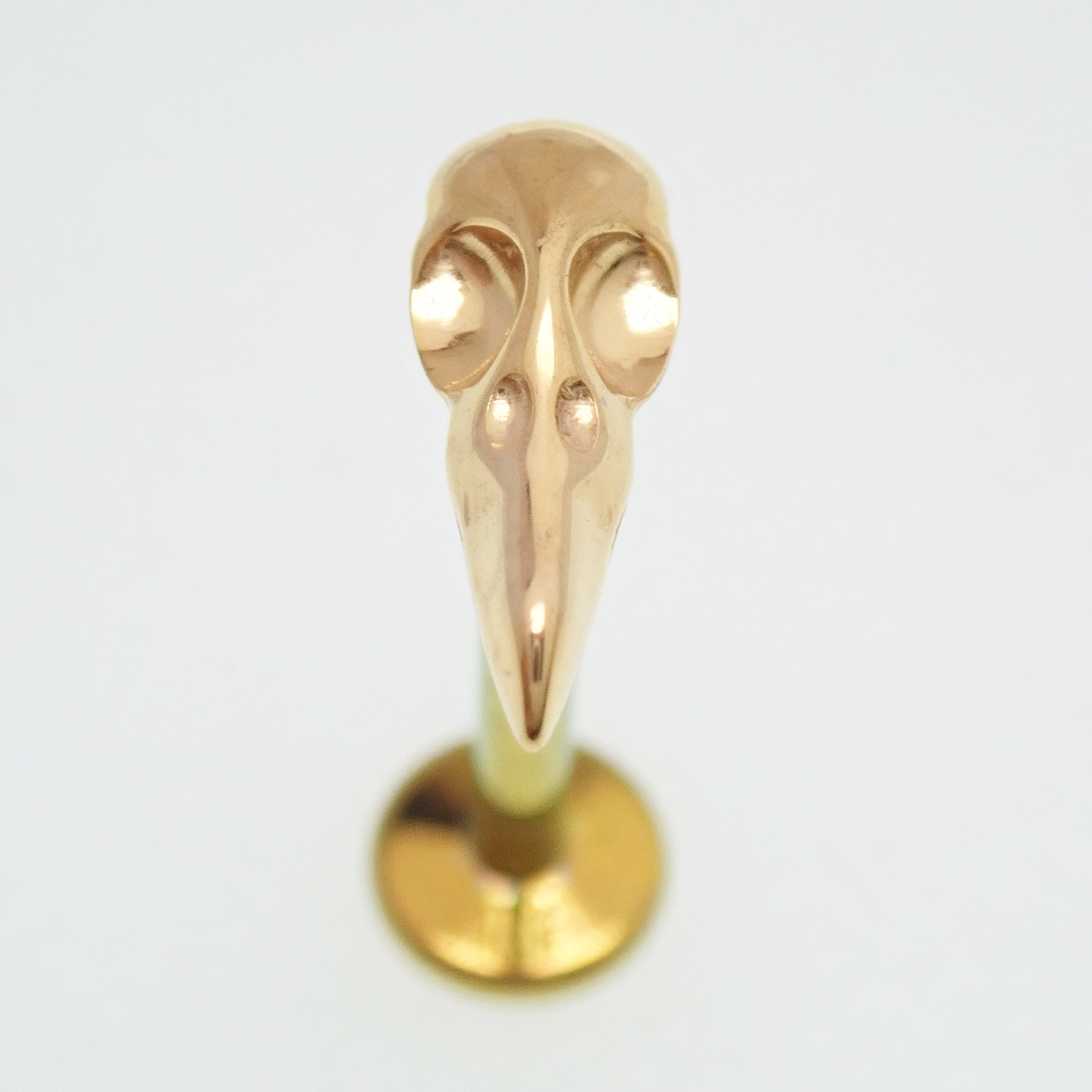 PVD Gold Raven Skull Titanium Flatback Piercing: Internally Threaded (18g, 16g, 14g)