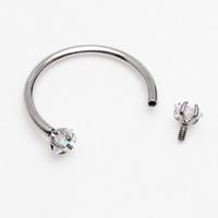 Implant Grade Titanium Horseshoe Ring, Star CZ Stone, Helix Septum Piercing