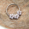 Flower Titanium Hinged 10mm Clicker 16g - Body Clickers Body Jewelry