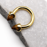 Titanium Horseshoe Tiger's Eye Cones 14g