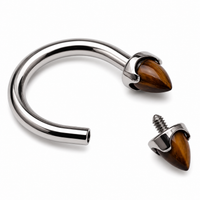 Titanium Horseshoe Tiger's Eye Cones 14g