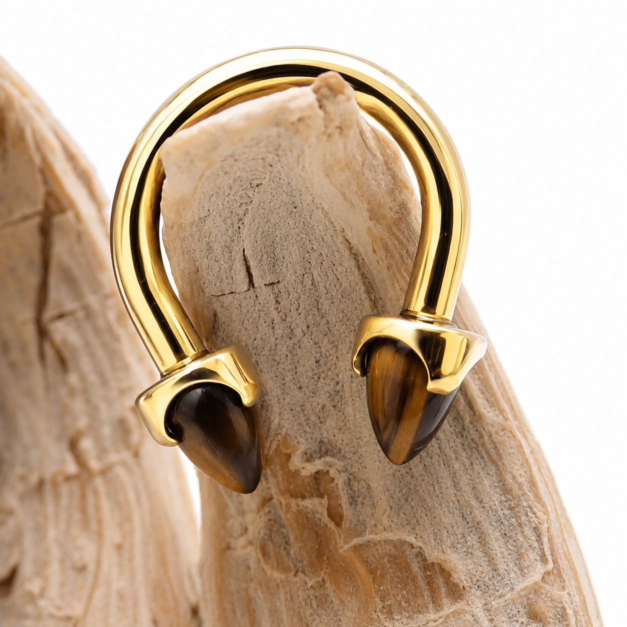 Titanium Horseshoe Tiger's Eye Cones 14g