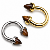 Titanium Horseshoe Tiger's Eye Cones 14g