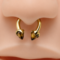 Titanium Horseshoe Tiger's Eye Cones 14g