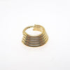 16g 5 Tier Stacked Hinged Clicker Ring Implant titanium - pure piercings