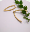 Pure titanium Matt Gold Irregular hoop earrings