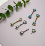 Paw Print CZ & Blue Mint Opal Nipple Bar 14g