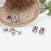 CZ Titanium Earrings Pair