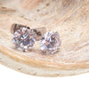CZ Titanium Earrings Pair
