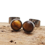 Pair of Tiger's Eye Titanium Earrings