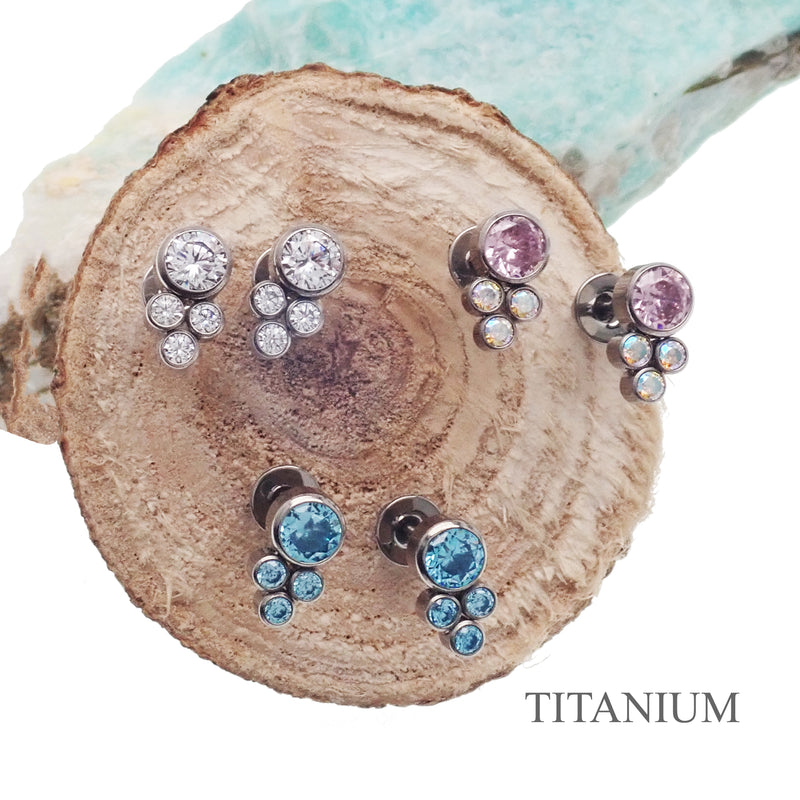 Titanium Earrings CZ cluster
