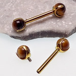 Tiger's Eye Industrial Piercing 14g