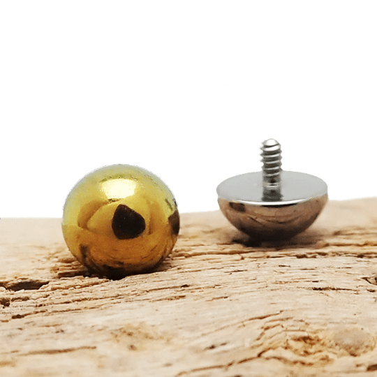 16g Dome Titanium Top piercing by Body Clickers, featuring a smooth, rounded titanium design for a stylish body jewelry look.
