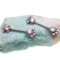 Cute paw-shaped push fit titanium nipple jewelry, 14g body jewelry by Body Clickers with a clear CZ accent.