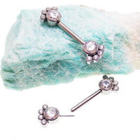 Cute paw-shaped titanium nipple jewelry with push-fit threadless design, 14g body jewelry by Body Clickers.