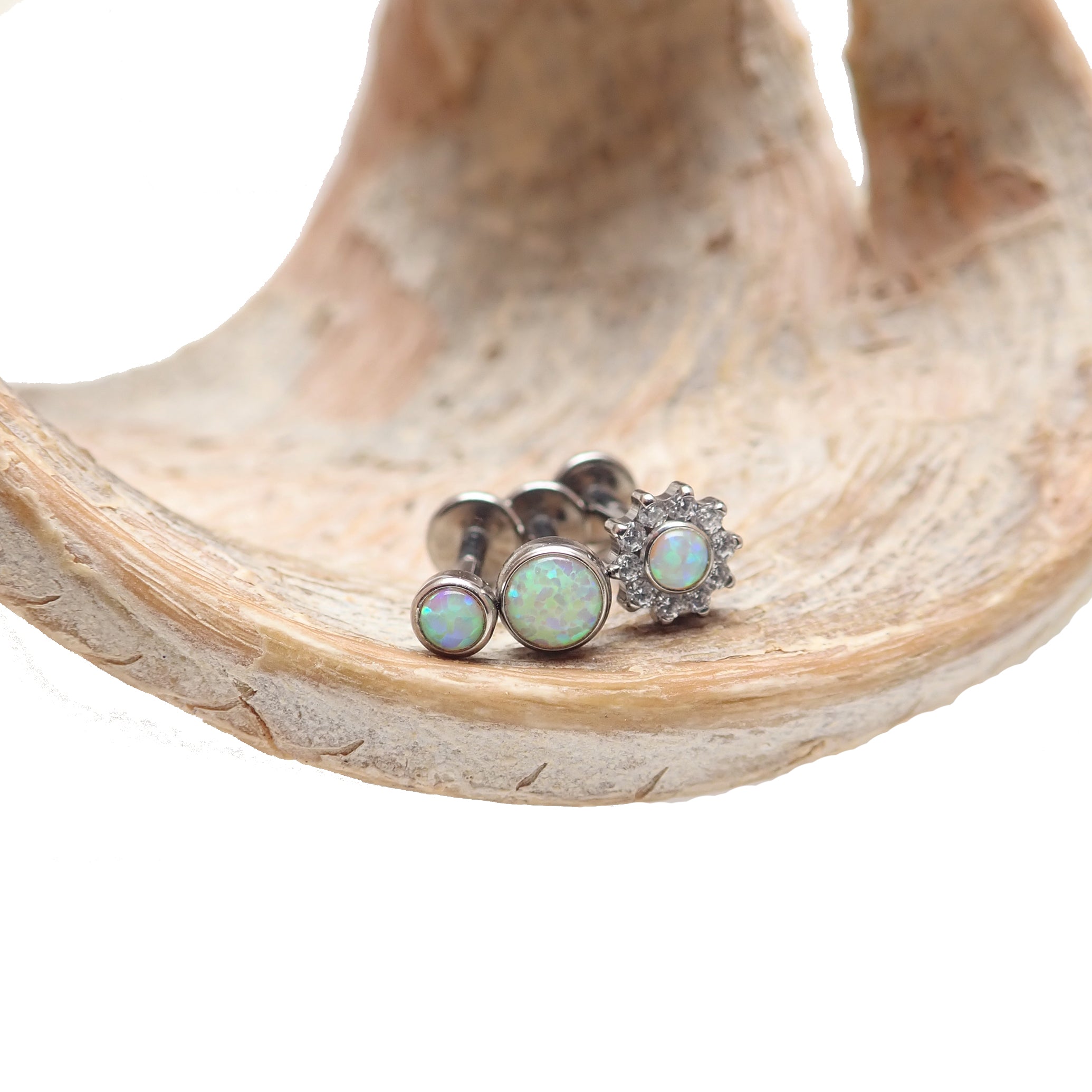 Set of body jewelry with opalite peach, CZ flower, and round designs in flat black push fit, available in 14g to 20g gauges.