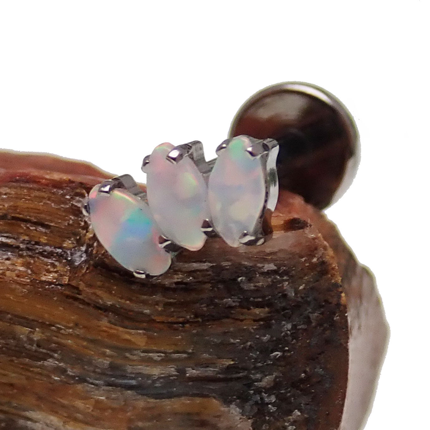 Marquise Opal Fan Flat Back body jewelry by Body Clickers in 14g, 16g, or 18g gauges with a 6mm opal design.