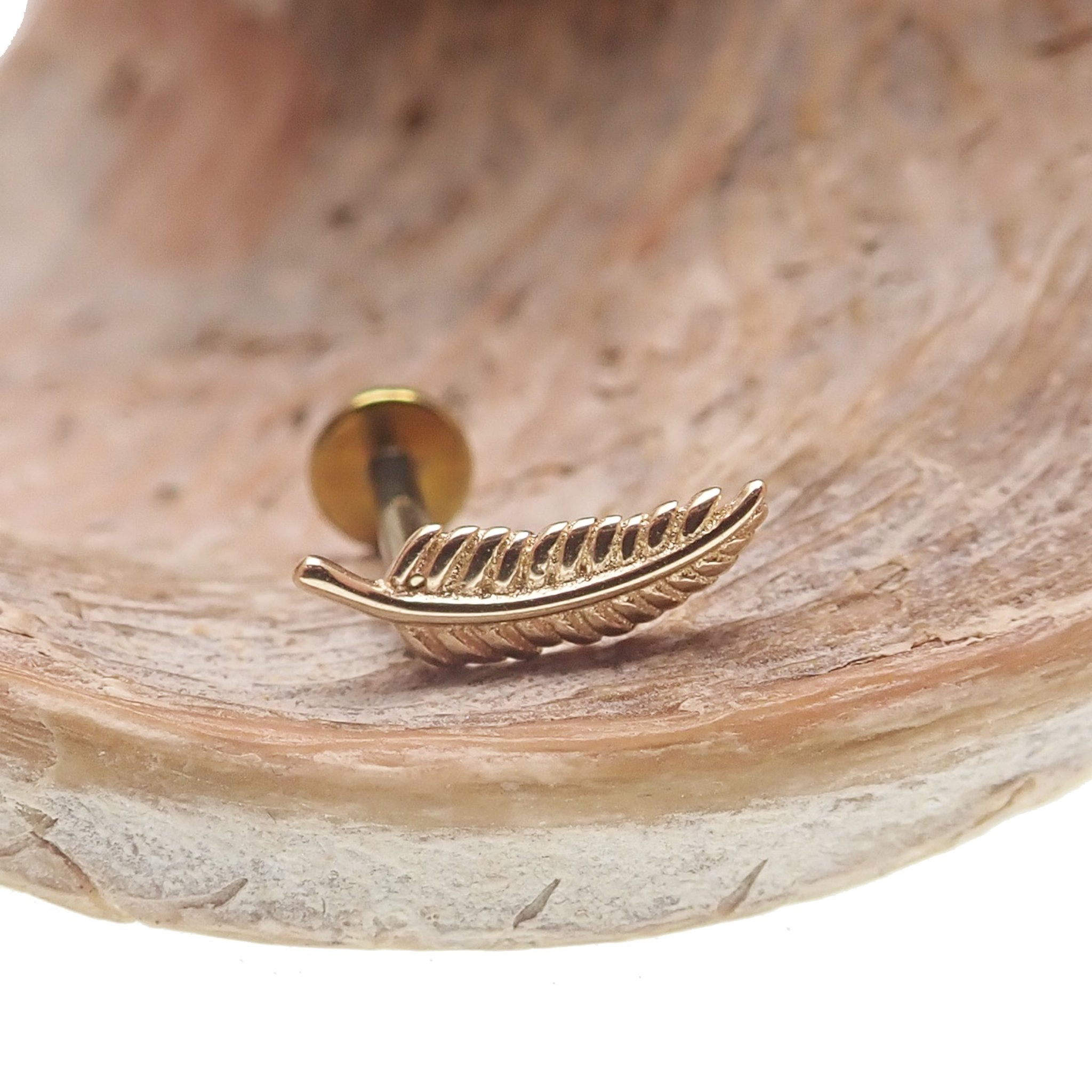 Feather 14k gold and titanium body jewelry in 14g, 16g, 18g, 20g with flatback design, by Body Clickers.