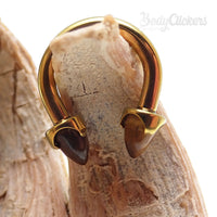 Titanium circular body jewelry with 8mm Tiger's Eye gemstone for body piercing, 14g gauge by Body Clickers Body Jewelry