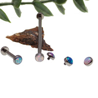 Titanium straight barbell with flat opal ends, 16g body jewelry from Body Clickers, featuring azure-colored opal accents.