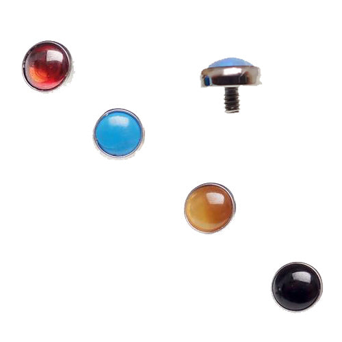 Black onyx 4mm natural stone tops for 14g body jewelry by Body Clickers, shown on a jewelry display.