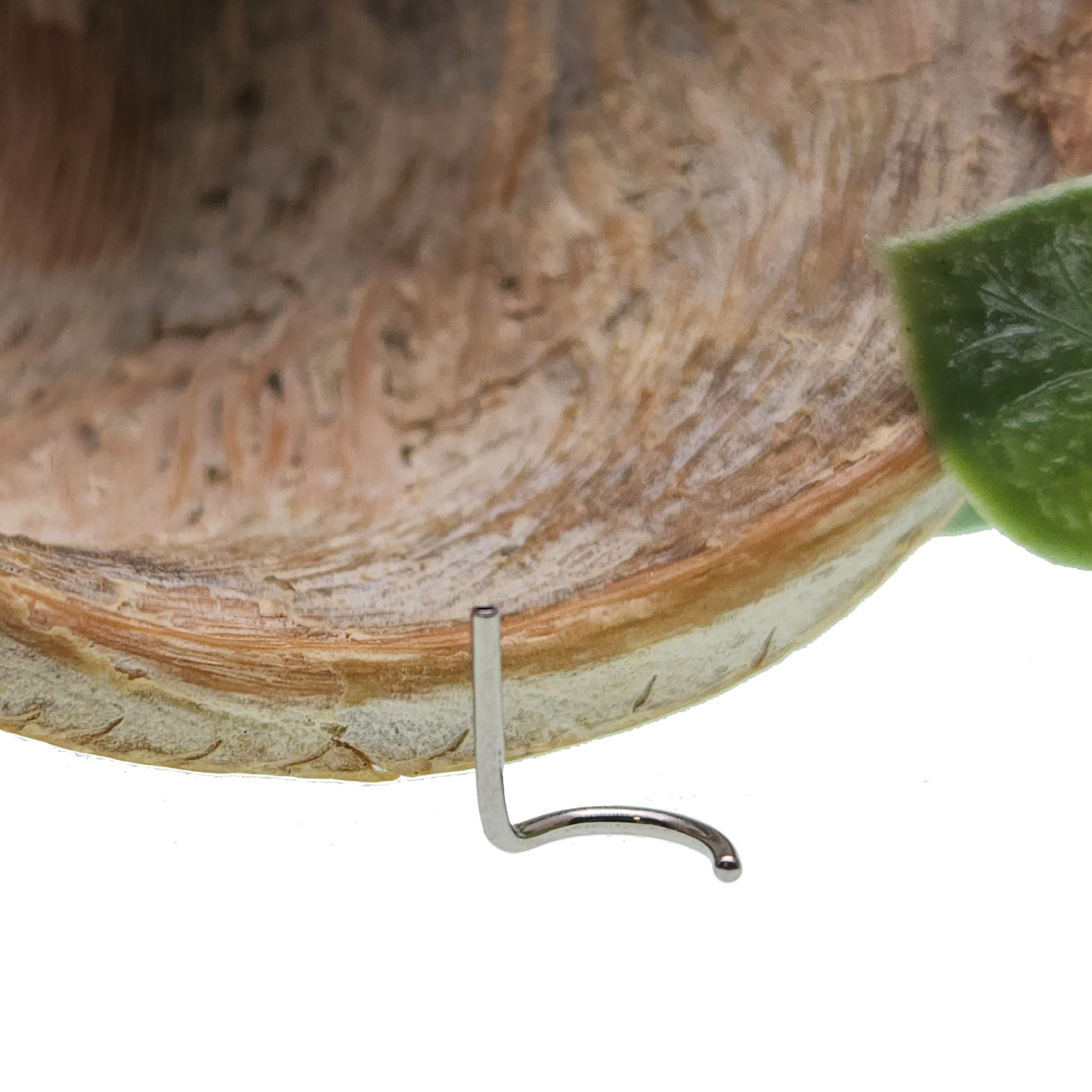 Body Clickers nose curl push fit back only, 20g body jewelry with a curved nose ring for pierced nostrils.